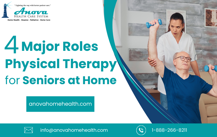 Roles of Physical Therapy for Seniors at Home